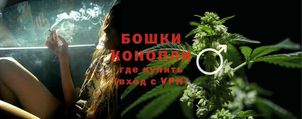 соль ск Белокуриха