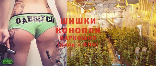 соль ск Белокуриха
