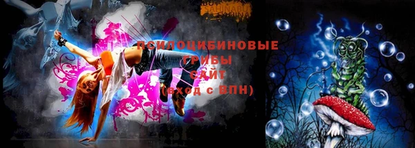 МДПВ Богданович