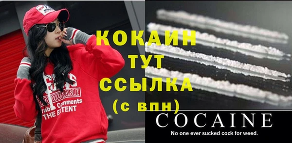 соль ск Белокуриха