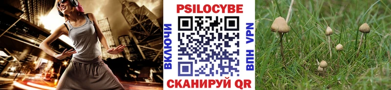 Псилоцибиновые грибы мухоморы Волгореченск