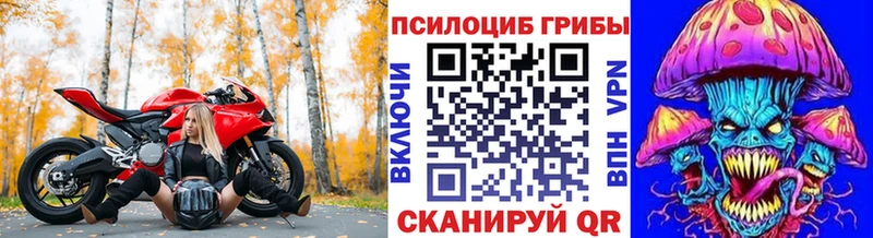 Галлюциногенные грибы Psilocybe  Волгореченск 